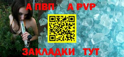 прущие грибы Усть-Джегута