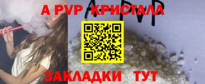 прущие грибы Усть-Джегута