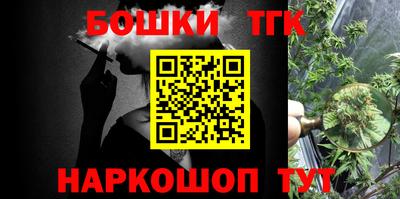 прущие грибы Усть-Джегута
