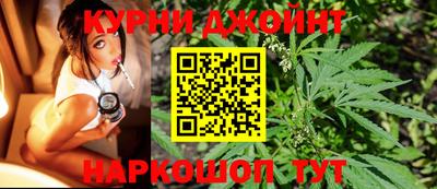 прущие грибы Усть-Джегута
