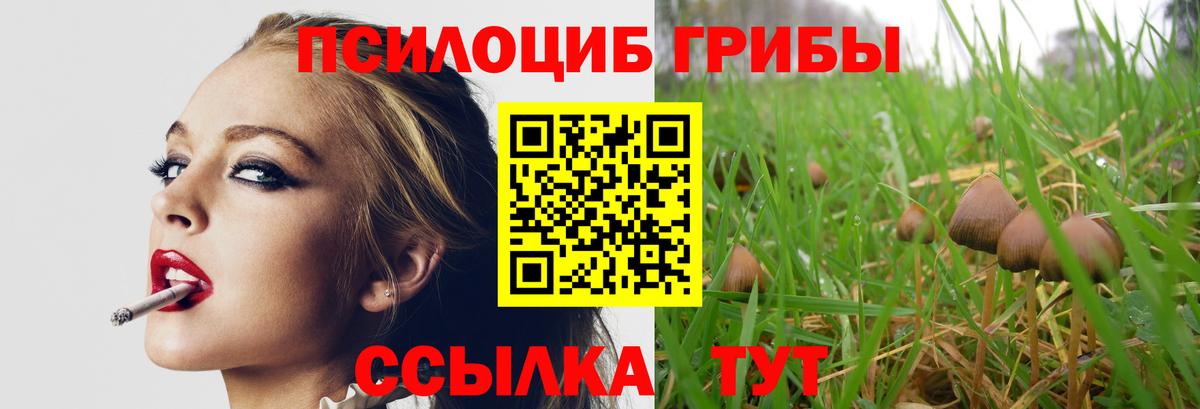 Мытищи  Галлюциногенные грибы GOLDEN TEACHER  Вход с VPN 