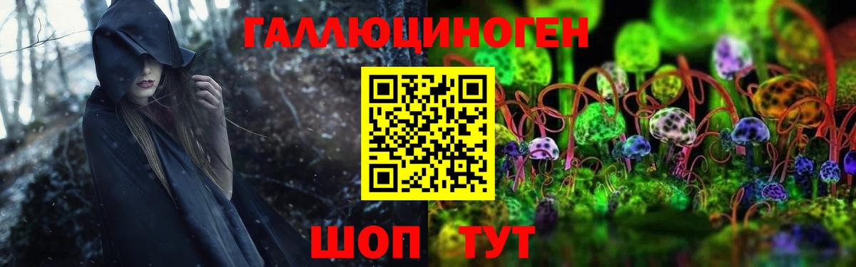 Псилоцибиновые грибы Psilocybe Мытищи